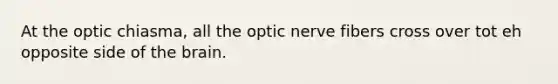 At the optic chiasma, all the optic nerve fibers cross over tot eh opposite side of the brain.