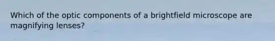 Which of the optic components of a brightfield microscope are magnifying lenses?