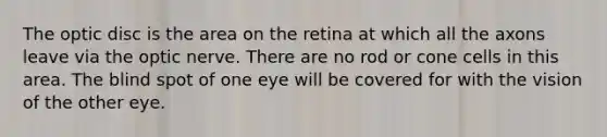 The optic disc is the area on the retina at which all the axons leave via the optic nerve. There are no rod or cone cells in this area. The blind spot of one eye will be covered for with the vision of the other eye.