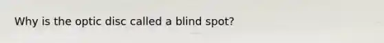 Why is the optic disc called a blind spot?