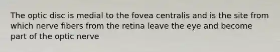 The optic disc is medial to the fovea centralis and is the site from which nerve fibers from the retina leave the eye and become part of the optic nerve