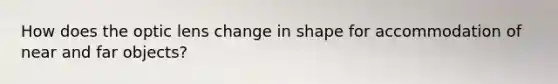 How does the optic lens change in shape for accommodation of near and far objects?