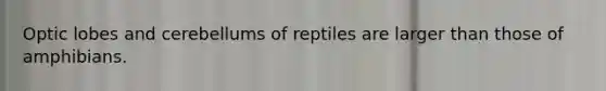 Optic lobes and cerebellums of reptiles are larger than those of amphibians.