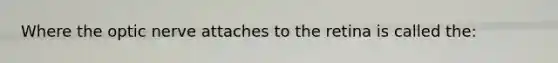 Where the optic nerve attaches to the retina is called the: