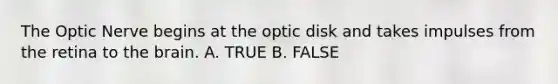 The Optic Nerve begins at the optic disk and takes impulses from the retina to <a href='https://www.questionai.com/knowledge/kLMtJeqKp6-the-brain' class='anchor-knowledge'>the brain</a>. A. TRUE B. FALSE