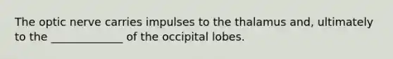 The optic nerve carries impulses to the thalamus and, ultimately to the _____________ of the occipital lobes.