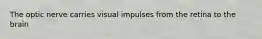 The optic nerve carries visual impulses from the retina to the brain