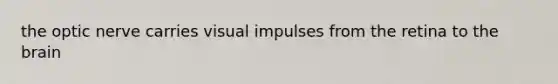 the optic nerve carries visual impulses from the retina to the brain