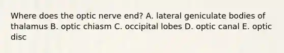 Where does the optic nerve end? A. lateral geniculate bodies of thalamus B. optic chiasm C. occipital lobes D. optic canal E. optic disc