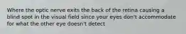 Where the optic nerve exits the back of the retina causing a blind spot in the visual field since your eyes don't accommodate for what the other eye doesn't detect