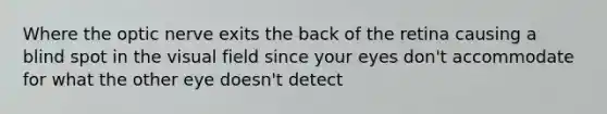 Where the optic nerve exits the back of the retina causing a blind spot in the visual field since your eyes don't accommodate for what the other eye doesn't detect