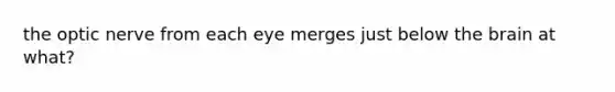 the optic nerve from each eye merges just below <a href='https://www.questionai.com/knowledge/kLMtJeqKp6-the-brain' class='anchor-knowledge'>the brain</a> at what?