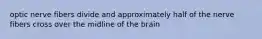 optic nerve fibers divide and approximately half of the nerve fibers cross over the midline of the brain