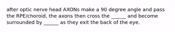 after optic nerve head AXONs make a 90 degree angle and pass the RPE/choroid, the axons then cross the ______ and become surrounded by ______ as they exit the back of the eye.