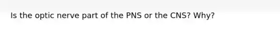 Is the optic nerve part of the PNS or the CNS? Why?