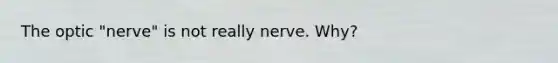 The optic "nerve" is not really nerve. Why?