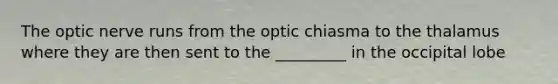 The optic nerve runs from the optic chiasma to the thalamus where they are then sent to the _________ in the occipital lobe