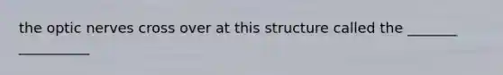 the optic nerves cross over at this structure called the _______ __________