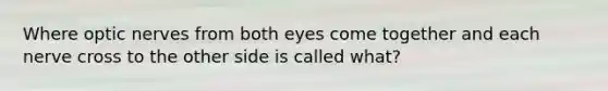 Where optic nerves from both eyes come together and each nerve cross to the other side is called what?