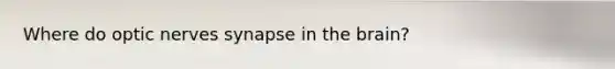 Where do optic nerves synapse in the brain?