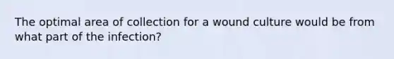 The optimal area of collection for a wound culture would be from what part of the infection?