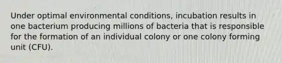 Under optimal environmental conditions, incubation results in one bacterium producing millions of bacteria that is responsible for the formation of an individual colony or one colony forming unit (CFU).