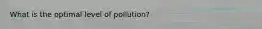 What is the optimal level of pollution?
