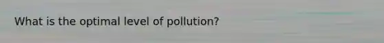 What is the optimal level of pollution?