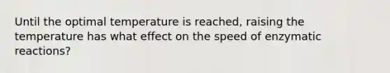 Until the optimal temperature is reached, raising the temperature has what effect on the speed of enzymatic reactions?