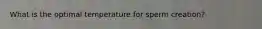 What is the optimal temperature for sperm creation?