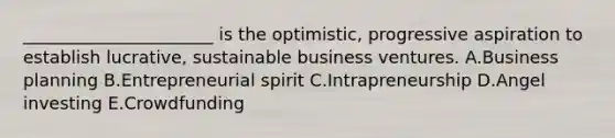 ______________________ is the​ optimistic, progressive aspiration to establish​ lucrative, sustainable business ventures. A.Business planning B.Entrepreneurial spirit C.Intrapreneurship D.Angel investing E.Crowdfunding