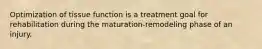 Optimization of tissue function is a treatment goal for rehabilitation during the maturation-remodeling phase of an injury.