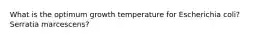 What is the optimum growth temperature for Escherichia coli? Serratia marcescens?