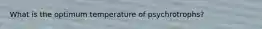 What is the optimum temperature of psychrotrophs?