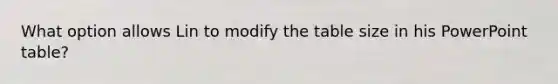 What option allows Lin to modify the table size in his PowerPoint table?