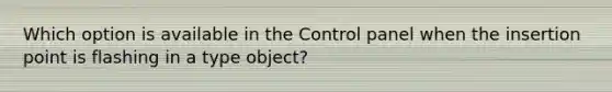 Which option is available in the Control panel when the insertion point is flashing in a type object?