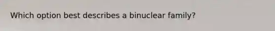 Which option best describes a binuclear family?