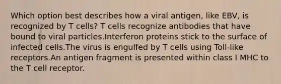 Which option best describes how a viral antigen, like EBV, is recognized by T cells? T cells recognize antibodies that have bound to viral particles.Interferon proteins stick to the surface of infected cells.The virus is engulfed by T cells using Toll-like receptors.An antigen fragment is presented within class I MHC to the T cell receptor.