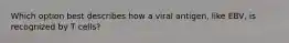 Which option best describes how a viral antigen, like EBV, is recognized by T cells?