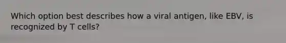 Which option best describes how a viral antigen, like EBV, is recognized by T cells?