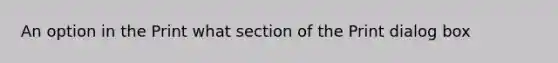 An option in the Print what section of the Print dialog box