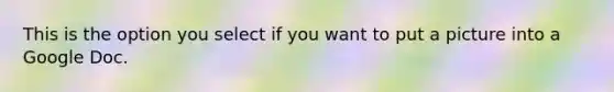 This is the option you select if you want to put a picture into a Google Doc.