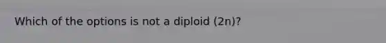 Which of the options is not a diploid (2n)?