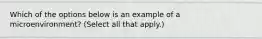 Which of the options below is an example of a microenvironment? (Select all that apply.)