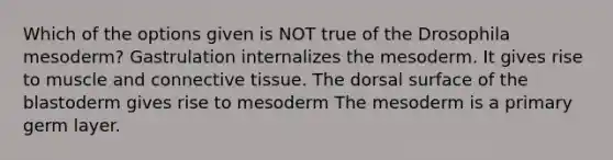 Which of the options given is NOT true of the Drosophila mesoderm? Gastrulation internalizes the mesoderm. It gives rise to muscle and connective tissue. The dorsal surface of the blastoderm gives rise to mesoderm The mesoderm is a primary germ layer.