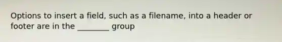 Options to insert a field, such as a filename, into a header or footer are in the ________ group