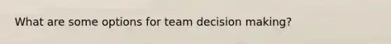 What are some options for team decision making?