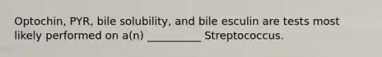 Optochin, PYR, bile solubility, and bile esculin are tests most likely performed on a(n) __________ Streptococcus.