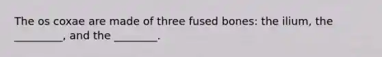 The os coxae are made of three fused bones: the ilium, the _________, and the ________.