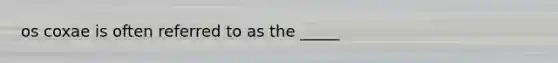 os coxae is often referred to as the _____